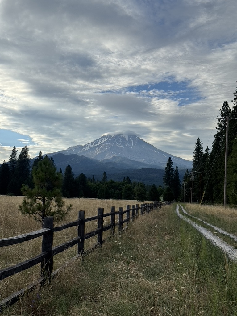 A fenceline running toward Mount Shasta at dusk