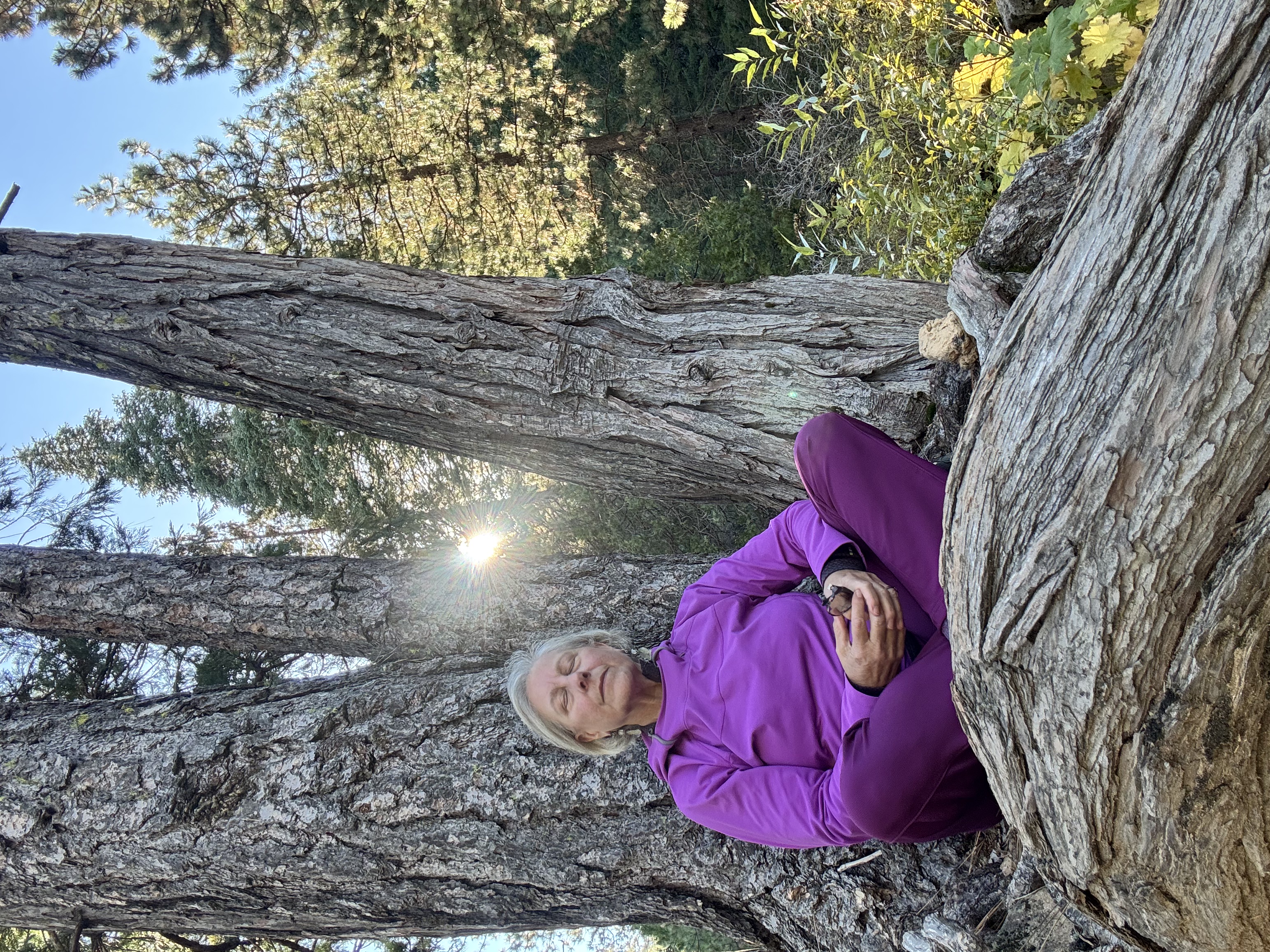Illana Berger meditating at the base of a pine